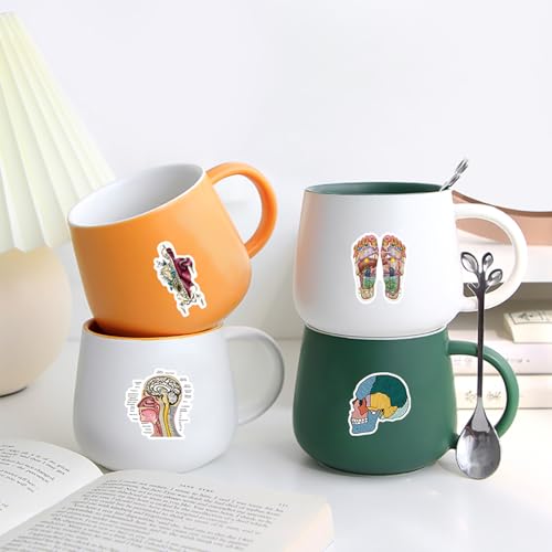 100PCS Anatomy Stickers, Vinyl Waterproof Anatomy Decals Pack for Water Bottle, Helmet,Journaling, Laptop, Phone, Biology Anatomy Human Body Organ Stickers for Students Teachers - color: Anatomy Stickers
