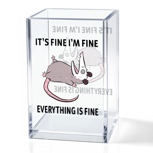 It's Fine I'm Fine Everything Is Fin Acrylic Makeup Brush Pencil Holder Cup, Funny Opossum Pen Holder Gifts For Friends Nurse, Office Sarcastic Gifts for Women Men Coworker, Desk Organizer - color: grey