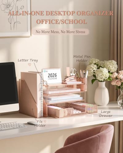 WALI Desk File Organizer, 4 Tier Desktop Paper Letter Tray Organizer with Drawer and 2 Pen Holders, Office Desk Accessories & Workspace Organizers for Office, Home, School Supplies, 1 Pack, Rose Gold - color: Rose Gold, size: 4-Tier