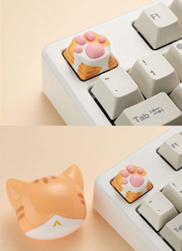 SYA ZOMOPLUS Cute Keycaps,Novelty Cat-Claws Keycap 3D Model OEM Profile Keyboard Keycaps Squishy-Paws Custom Key Caps for Cherry MX Switches Mechanical Gaming Keyboard(Orange1pcs) - color: Orange-1pcs