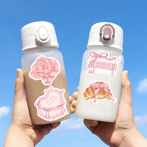 100PCS Coquette Stickers, Cute Vinyl Laptop Stickers, Pink Coquette Aesthetic Stickers Decal, Pink Sticker Pack for Girls Water Bottles Laptop Computer Phone Guitar - color: Girly Stickers