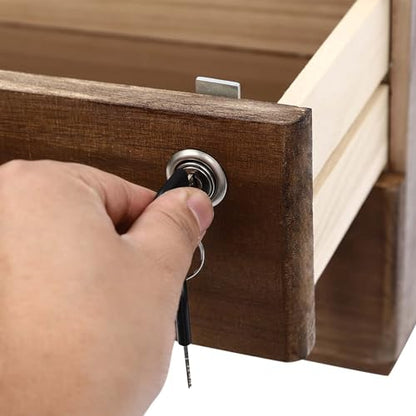 Wooden Desk Organizer with Drawers & Lock, Desktop Countertop Storage Cabinet Lockable Home Office Supplies File Tabletop Organizing Unit (2 Drawer - Retro Walnut) - style: 2 Drawer - Retro Walnut