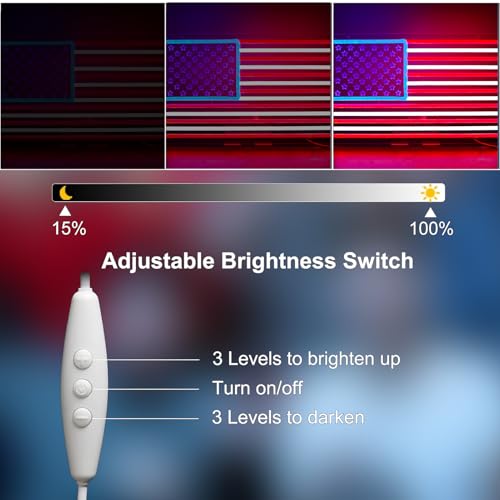 USA Neon Signs for Wall Decor，Led Neon Light for Man Cave、Bedroom、Garage，Christmas Birthday Party Gifts - style: national flag