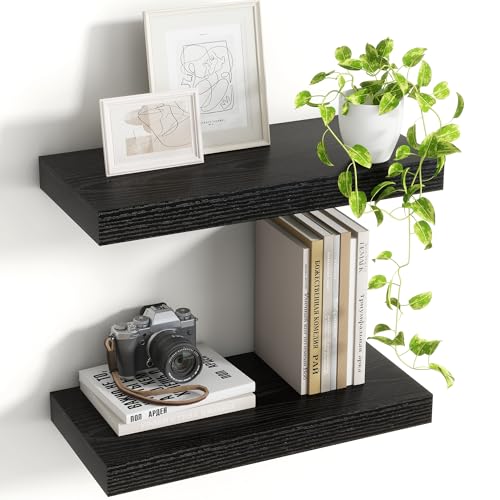 Acovy 16 Inch Floating Shelves, 8 Inch Deep Floating Shelves for Wall, Hanging Shelf with Invisible Brackets, Deep Shelves for Bathroom, Bedroom, Living Room, Black, Set of 2 - color: Black, size: 8"Wx16"L-2pcs