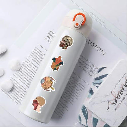 100PCS Anatomy Stickers, Vinyl Waterproof Anatomy Decals Pack for Water Bottle, Helmet,Journaling, Laptop, Phone, Biology Anatomy Human Body Organ Stickers for Students Teachers - color: Anatomy Stickers