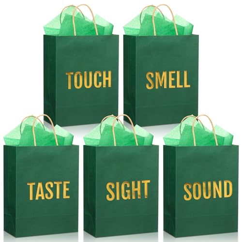 Kolldenn 5 Senses Gift Bags for Him for Her with 10 Pcs Tissue Paper, Paper Bags with Handles Five Senses Gifts for Valentines Christmas Birthday Wedding Anniversary(Green,8.3 x 4.3 x 10.6 Inch) - color: Green, size: 8.3 x 4.3 x 10.6 Inch