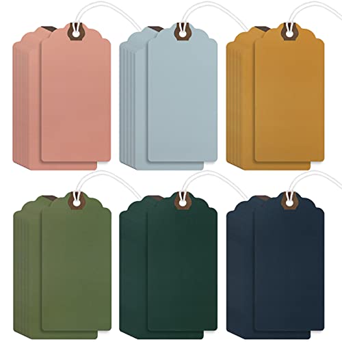 Outus 60 Pcs 4 3/4-in x 2 3/8-in Blank Large Paper Gift Tags with String and Reinforced Eyelet Wire Writable Price Tags Shipping Labels Inventory Labels(Morandi Color) - color: Morandi Color, size: Solid Style
