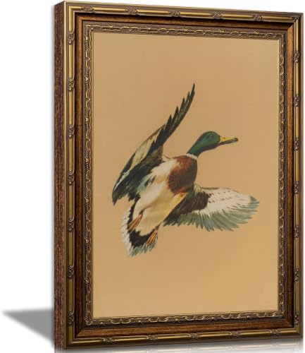 Electrilucn Gold Framed Flying Mallard Duck Canvas Wall Art Vintage Bird Wall Decor Rustic Antique Duck Poster Artwork Farmhouse Animal Picture for Living Room Bedroom Office Home Decor 12x16in - color: Flying Duck, size: 16"L x 12"W