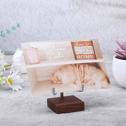 Wood Display Stand with Adjustable Metal Arms Gold Decorative Plate Stand Easel Holder Small Rock Crystal Collectibles Holder for Displaying Picture Mineral Fossil Coral