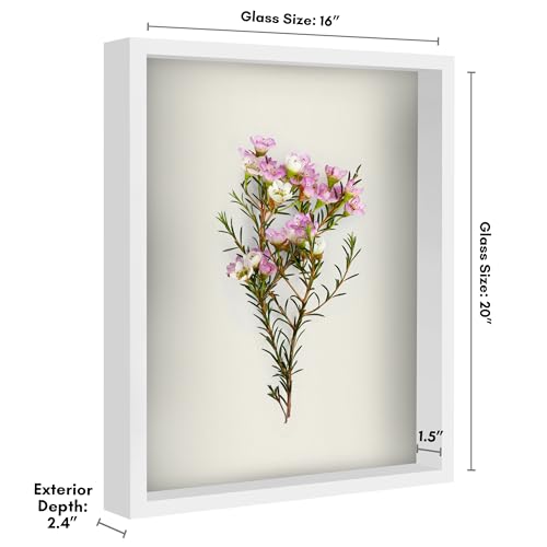 Americanflat 16x20 Shadow Box Frame with Polished Plexiglass - Silhouette Collection - Large Shadow Box Display Case for Tabletop and Wall Display - White with Soft Felt Back - color: White, size: 16x20