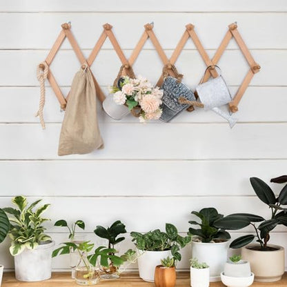 SCUNDA Wall Rack with 16 Hooks, Wooden Wall Expandable Coat Rack for Coat, Hats, Baseball Caps, Coffee Mug, Jewelry(Natural) - color: Natural, size: 16 Hooks