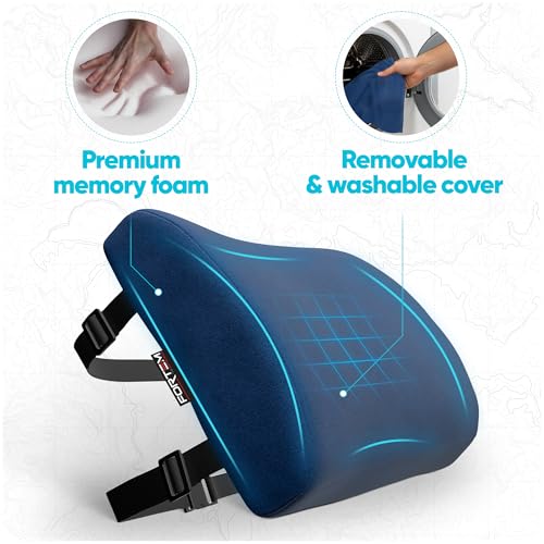 FORTEM Lumbar Support Pillow for Office Chair, Lumbar Support Pillow for Car, Back Rest for Gaming, Memory Foam Pillow, Desk Chair Cushion, Breathable & Washable Cover, Adjustable Straps - color: Blue Velour