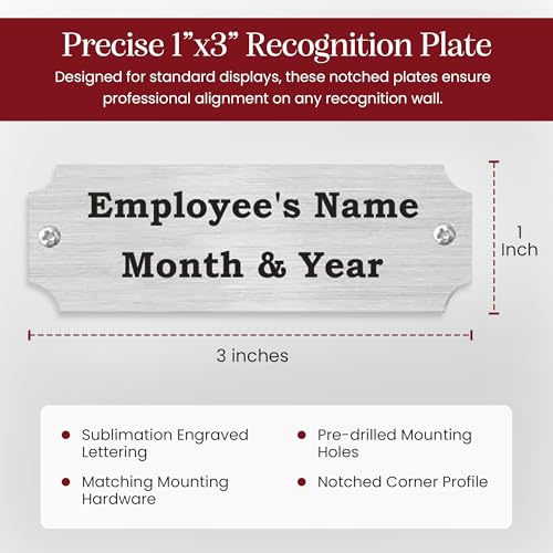 Employee of the Month Plate Inserts (Silver) - color: Silver