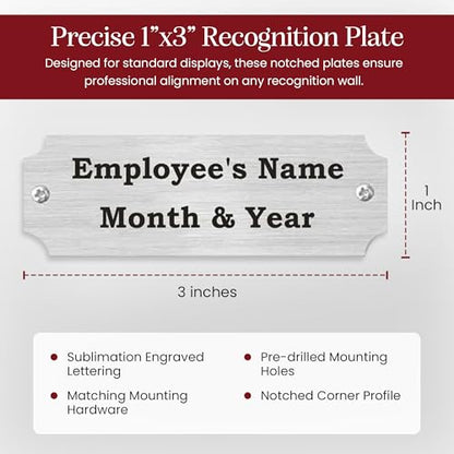 Employee of the Month Plate Inserts (Silver) - color: Silver