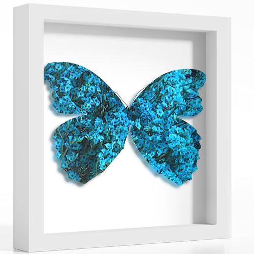 Picrit Shadow Box Frame 12x12, Display Case Box with High Definition Real Glass and Black Back for Memorabilia, Baby Items, Wedding Memories, Crafts, Tickets and Photos, White - color: White, size: 12x12