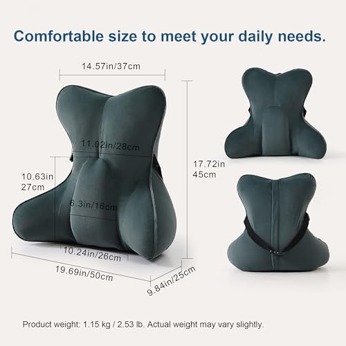 Lumbar Support Pillow(Pat. Pend) for Lower Back Pain Relief – Multi-Functional Ergonomic Lumbar Cushion, Reading Pillow for Office Chair, Car Seat & Sofa,Charcoal Gray - color: Charcoal Gray
