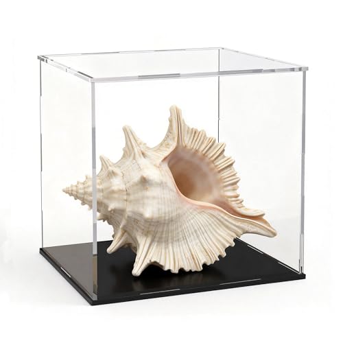 Acrylic Display Case 7x7x7 Inch, Clear Collectible Display Box with Matte Black Base, Dustproof Showcase for Figures, Models, Sports Memorabilia – Easy Self Assembly - size: 7 x 7 x 7 inch
