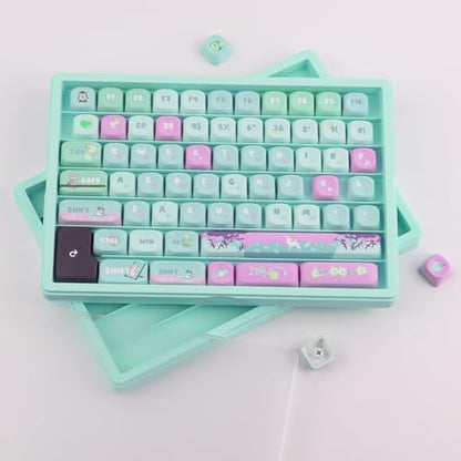 Hyekit Keycaps Storage Box, 3th Floor PBT Dustproof Display Case, 180 Keys Visible Top Cover Keycaps Collection Box for Cherry MOA XDA SA OEM MSA DSA Mao Profile Mechanical Keyboard Keycap (Green)