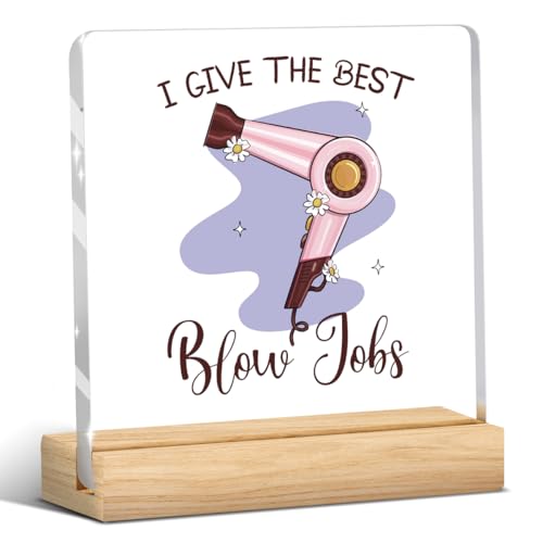Hair Salon Decor, Pink Hairdresser Gifts, Salon Decor for Hair Stylist, Hairdresser Christmas Ornaments, Gift for Hairstylist Women, Hairs Dryer Acrylic Sign Shelf Table Decoration 4x4 Inch - color: I Gives the Best Blow Jobs