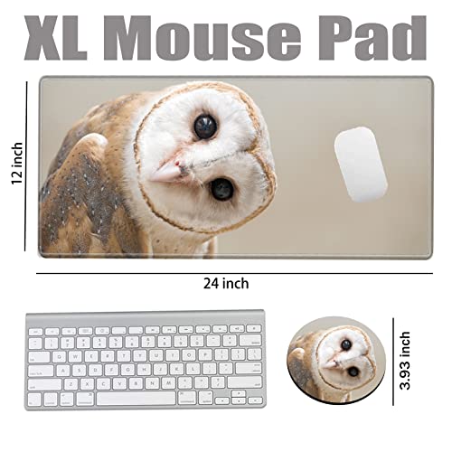 Large Mouse Pad 24x12 inch Desk Mats on Top of Desks Pad Gaming Mousepad Owl Long Extended Desk Protector Mat Big Laptop Mat for Wireless Mouse Non Slip Work Computer - color: Owl, size: 24''X12''
