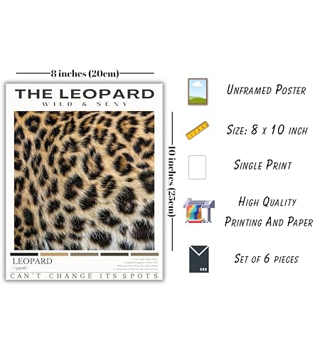 Trendy Leopard Wall Poster - Stockholm Style Room Decor for Women - Luxury Fashion Posters for Home Bedroom Apartment Dorm - HD Prints - Set of 6 Pieces - 8 x 10 inch - UNFRAMED