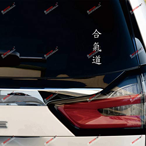 Aikido Kanji Chinese Japanese Combat Decal Vinyl Sticker - 2 Pack White, 6 Inches, 8 Inches - No Background for Car Boat Laptop
