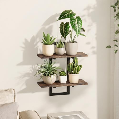 Bamworld Wall Planters for Indoor Plants Window Plant Shelves Vertical Plant Holder Wall Decor Plant Stand Indoor Floating Shelves for Plant Hangers for Living Room Bedroom Bathroom - size: 1 Pcs