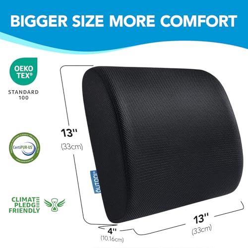 Lumbar Support Pillow for Office Chair, Office Home Essentials,Gifts for Mom,Dad, Back Support Pillow for Car, Chair Cushions,Back Pain Relief Improve Posture,Mesh Cover Double Adjustable Straps