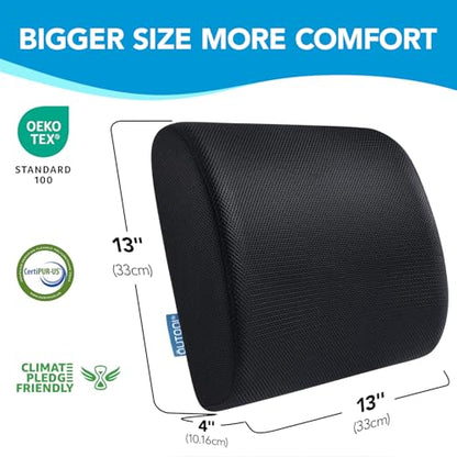 Lumbar Support Pillow for Office Chair, Office Home Essentials,Gifts for Mom,Dad, Back Support Pillow for Car, Chair Cushions,Back Pain Relief Improve Posture,Mesh Cover Double Adjustable Straps