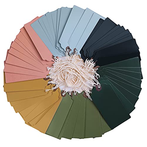 Outus 60 Pcs 4 3/4-in x 2 3/8-in Blank Large Paper Gift Tags with String and Reinforced Eyelet Wire Writable Price Tags Shipping Labels Inventory Labels(Morandi Color) - color: Morandi Color, size: Solid Style