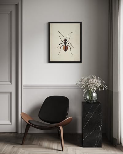 Ant Wall Art Print Poster, Insect Posters Prints Enntomological Painting Artwork 221 (Ant, 16 x 20 inches, Unframed) - color: Ant, size: 20"L x 16"W