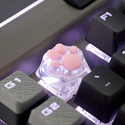 SYA ZOMOPLUS Cute Keycaps,Novelty Cat-Claws Keycap 3D Model OEM Profile Keyboard Keycaps Shine-Though Custom Key Caps for Cherry MX Switches Mechanical Gaming Keyboards(Translucent 2 Pack) - color: Translucent-2 Pack