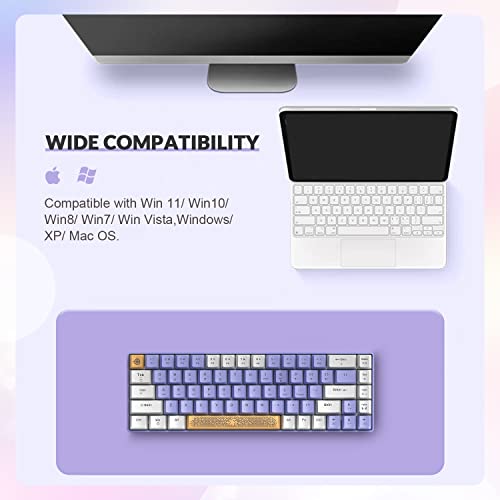 ZIYOU LANG RK-T8 Wired 65% Mechanical Gaming Keyboard with RGB LED Backlit Anti-ghosting TKL Mini 68 Key Custom Coiled C to A Cable Tactile Blue Switch for PS4 PS5 Xbox PC Mac Gamer(White Purple) - color: White Purple, size: 65% Keyboard