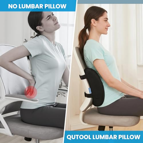 Lumbar Support Pillow for Office Chair, Office Home Essentials,Gifts for Mom,Dad, Back Support Pillow for Car, Chair Cushions,Back Pain Relief Improve Posture,Mesh Cover Double Adjustable Straps