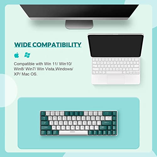 ZIYOU LANG RK-T8 Wired 65% Mechanical Gaming Keyboard with RGB LED Backlit Anti-ghosting TKL Mini 68 Key Custom Coiled C to A Cable Tactile Blue Switch for PS4 PS5 Xbox PC Mac Gamer(Green/White) - color: Green White, size: 65% Keyboard