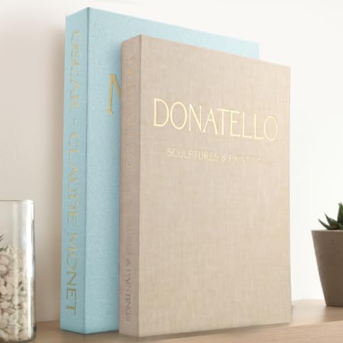 Decorative Books for Home Decor - Set of 2 Faux Books for Decoration with Secure Magnet Closure for Photo Storage and as a Keepsake Box, Coffee Table or Bookshelf Decor (Blue - Beige) - color: Blue - Beige