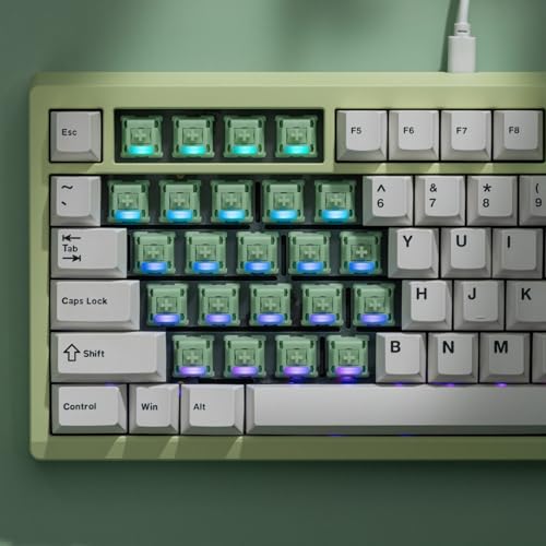 OOCTPK Chilkey Jade Green Keyboard Switches, 5 Pin PCB Mount Pre-lubed Switches Linear with POM Housing, UPE/Stainless Steel Stem for Mechanical Gaming Keyboard (35pcs) - color: WS Switches-Turquoise-35Pcs