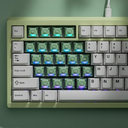 OOCTPK Chilkey Jade Green Keyboard Switches, 5 Pin PCB Mount Pre-lubed Switches Linear with POM Housing, UPE/Stainless Steel Stem for Mechanical Gaming Keyboard (35pcs) - color: WS Switches-Turquoise-35Pcs