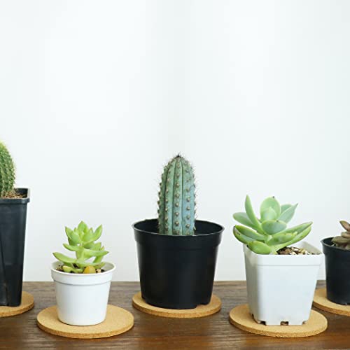 6Pcs Cork Coasters, Tivnhuils 3.9 inch Cork Coaster Desk, Coaster Set for Cup and Plant - size: 6PCS