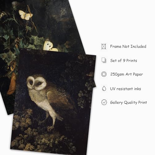 Whaline 9Pcs Dark Academia Decoration Vintage Forest Theme Wall Art Prints Plant Fox Gothic Wall Art Poster for Gallery Bedroom Living Room(UNFRAMED, Dark Color)