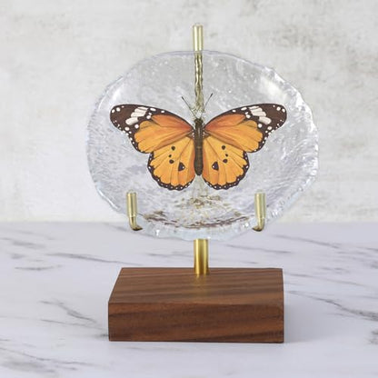 Adjustable Metal Arm Display Stand, 4 inches Tall, Wooden Base | For Easel, Plate, Rock, Picture, Crystal, Wreath, Coral