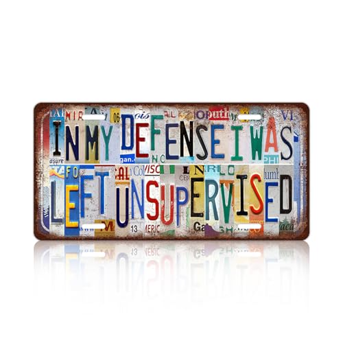 Vintage License Plate Wall Decor Metal Tin Sign for Bar Home Bedroom | In My Defense I Was Left Unsupervised - color: A-04