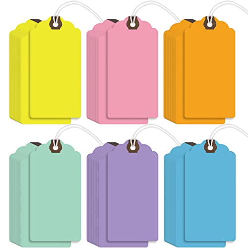 Outus 60 Pcs 4 3/4-in x 2 3/8-in Blank Large Paper Gift Tags with String and Reinforced Eyelet Wire Writable Price Tags Shipping Labels Inventory Labels(Macaron Color) - color: Macaron Color, size: Solid Style