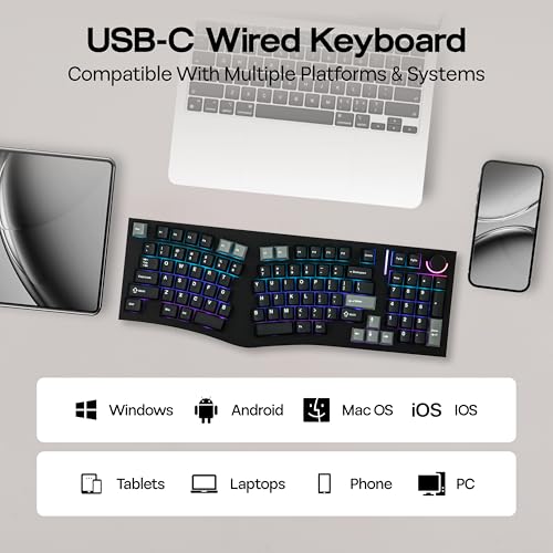 MechLands Feker Alice98 Ergonomic 98 Keys Custom Mechanical Keyboard, VIA Programmable, USB-C Wired Gaming Keyboard, Hot Swappable, 5 Layer Paddings, Control Knob, NKRO, RGB for Win/Mac (Black) - color: Black