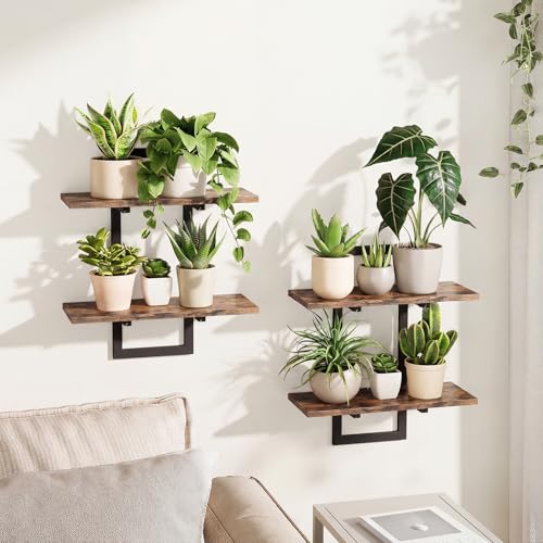 Bamworld Floating Shelves for Wall Planters for Indoor Plants Hanging Shelves Plant Holder Wall Decor Plant Stand Indoor for Plant Hangers Indoor for Living Room Bedroom Bathroom 2-Pack Brown - size: 2 pcs