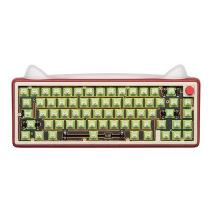 OOCTPK Chilkey Sprout Green Tactile Switches Keyboard Switch for Mechanical Gaming Keyboard, 5 Pin Pre-Lubed Keyboard Switches with POM Housing UPE Stem for Mechanical Gaming Keyboard (35pcs) - color: Sprout Green-35Pcs