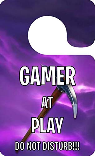Door Sign, Do Not Disturb, Enter at Your Own Risk, Stocking Stuffer for Gamer, Christmas, Birthday Gift for Teens, Party Favor, Kids, Teens, Game Room Decor, Dorm Room, Metaverse