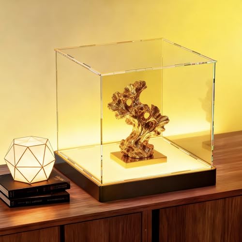 Light Up Acrylic Display Case with RGBW LED Lights, USB Powered with Switch Panel & App Control, Clear Collectible Display Box for Football, Soccer, Figures, Collectables & Trophy, 10x10x10 Inch - size: 10''(L) x 10''(W) x 10''(H)