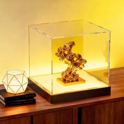 Light Up Acrylic Display Case with RGBW LED Lights, USB Powered with Switch Panel & App Control, Clear Collectible Display Box for Football, Soccer, Figures, Collectables & Trophy, 10x10x10 Inch - size: 10''(L) x 10''(W) x 10''(H)