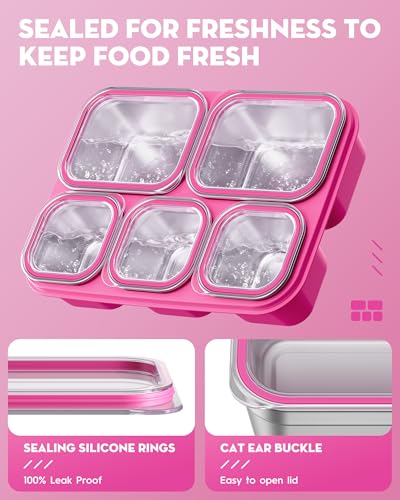 BiuLeon Snackle Box Containers, Stainless Steel 5 Compartments Divided Serving Tray with Lid, Removable LeakProof Portable Bento Box for Fruit Candy Nuts Food - School, Picnic and Travel（Pink） - color: Pink